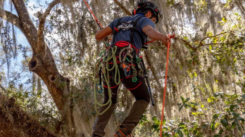 Plezalni pasovi in ​​orodja